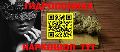 амф Камышлов