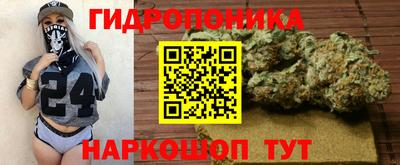 амф Камышлов
